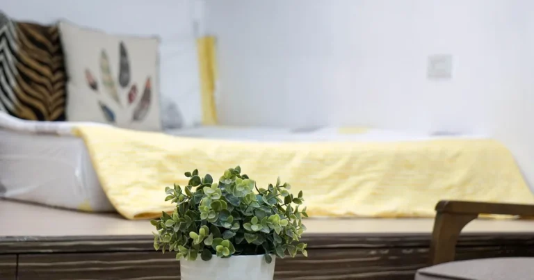 공기청정기 음이온 효과보다 오존 부작용이 더 큰 이유