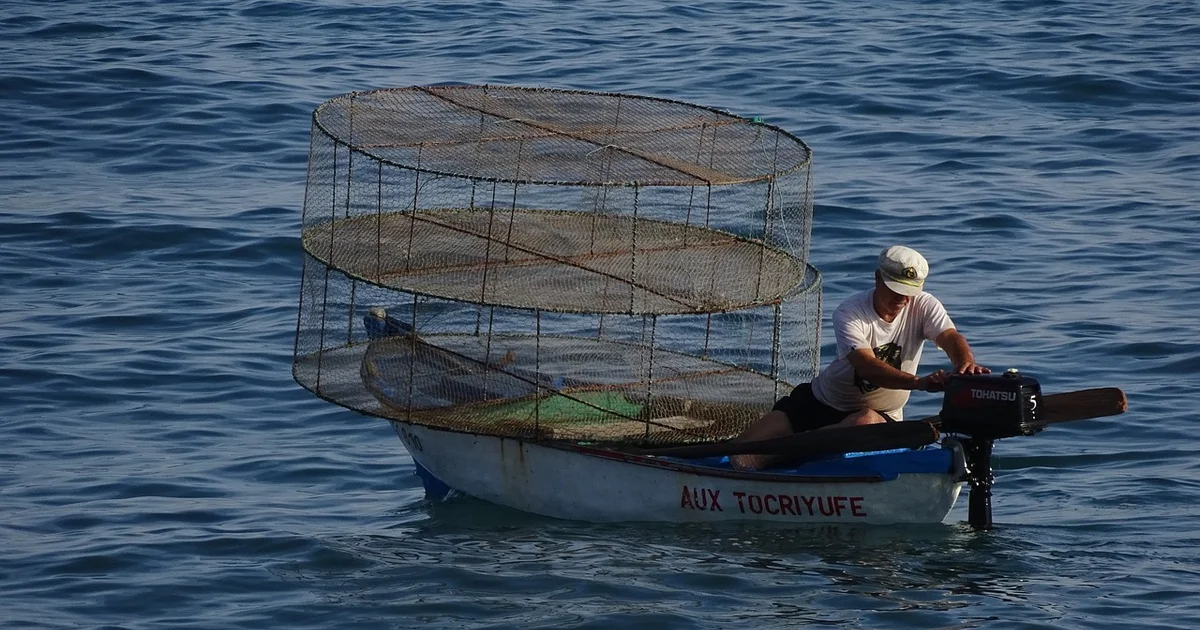 제습기 물, 화분 물주기에 써도 될까? 안전하게 활용하는 법